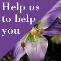 Share your experience with the Death Care Industry by clicking here